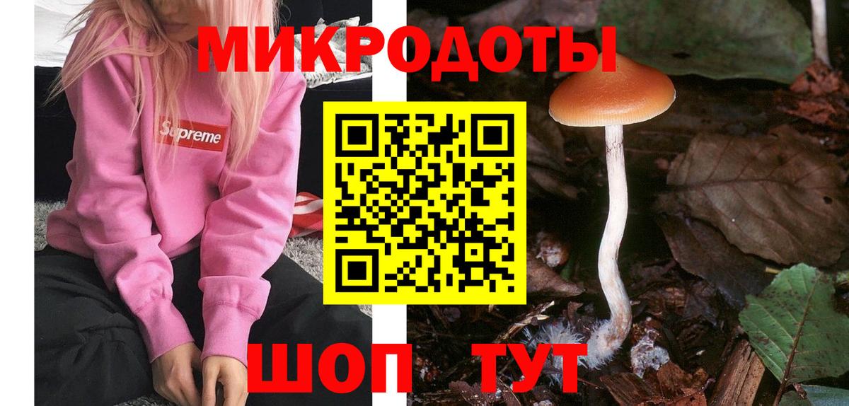 Зерноград  Псилоцибиновые грибы GOLDEN TEACHER  Галлюциногенные грибы прущие грибы  купить закладку  Вход с VPN 
