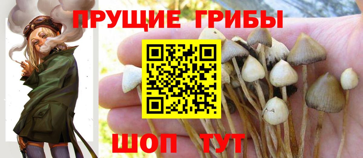 Галлюциногенные грибы MAGIC MUSHROOMS Зерноград